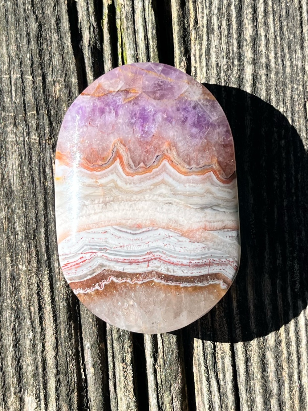 Mexican Crazy Lace Amethyst Palm - Picture 2 of 4